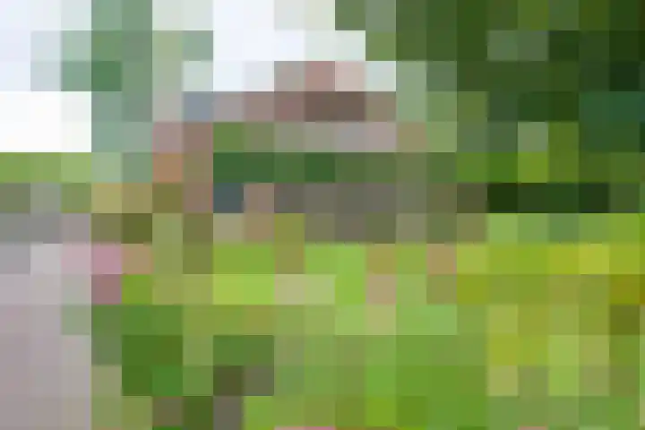 Aagtemanweg 7 Harreveld thumbnail 58