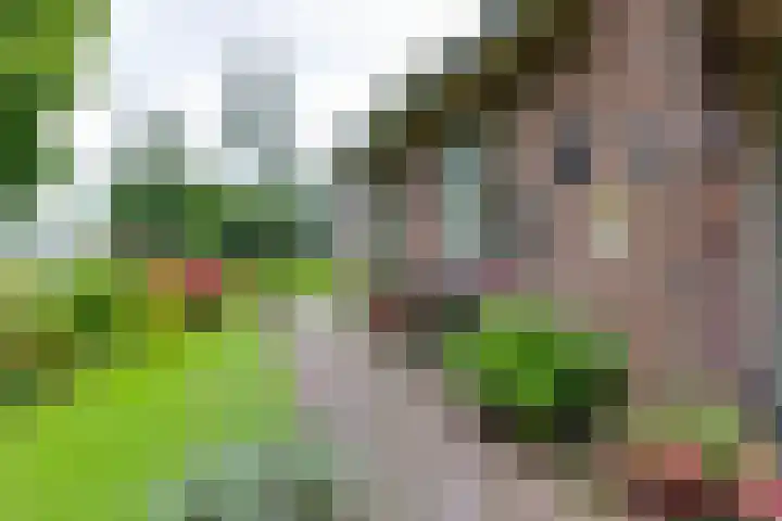 Aagtemanweg 7 Harreveld thumbnail 6