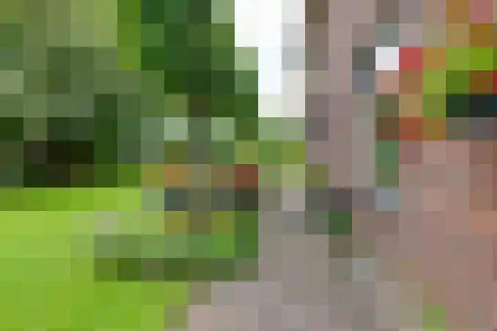 Aagtemanweg 7 Harreveld thumbnail 60