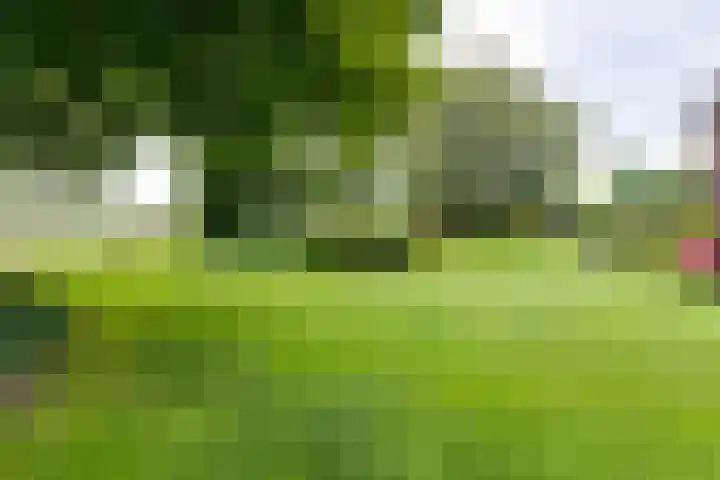 Aagtemanweg 7 Harreveld thumbnail 63
