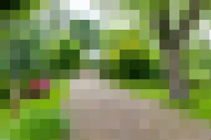 Aagtemanweg 7 Harreveld thumbnail 64