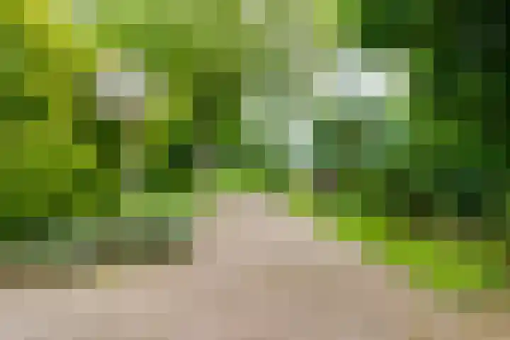 Aagtemanweg 7 Harreveld thumbnail 65