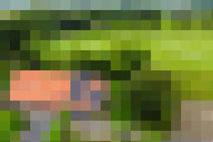 Aagtemanweg 7 Harreveld thumbnail 66