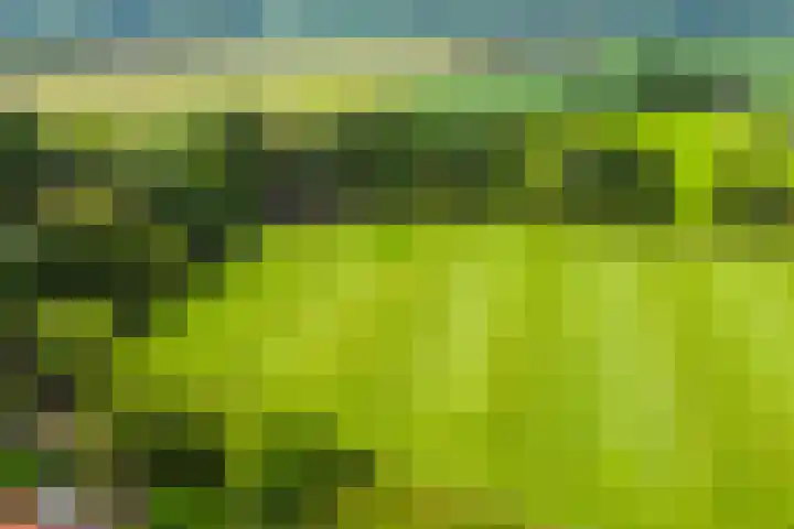 Aagtemanweg 7 Harreveld thumbnail 68
