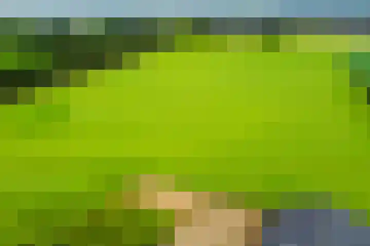 Aagtemanweg 7 Harreveld thumbnail 69