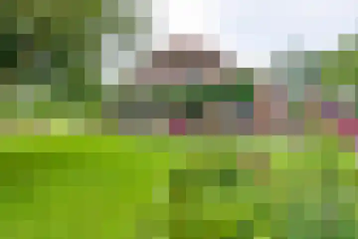 Aagtemanweg 7 Harreveld thumbnail 78