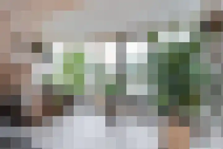 Aagtemanweg 7 Harreveld thumbnail 8