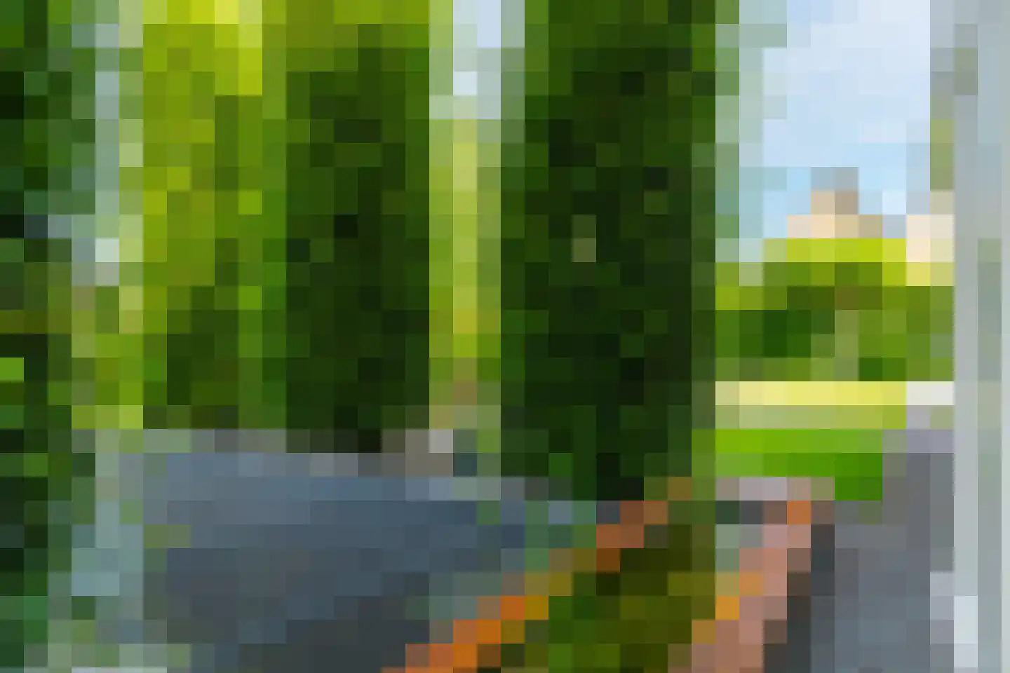 Aak 10 Gorredijk thumbnail 35