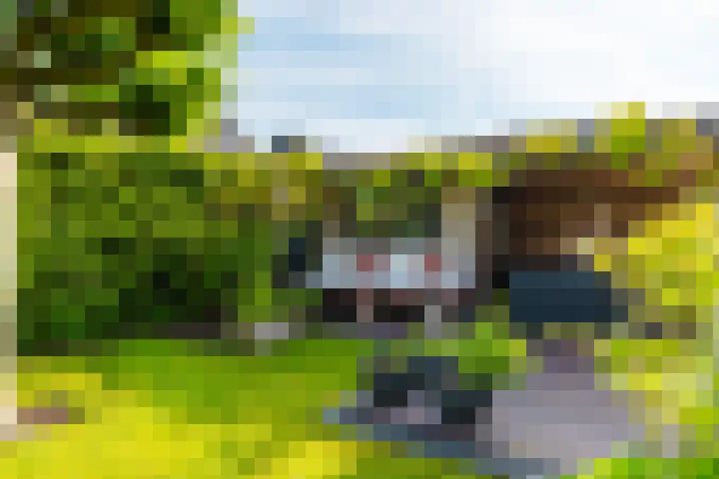 Aak 10 Gorredijk thumbnail 37
