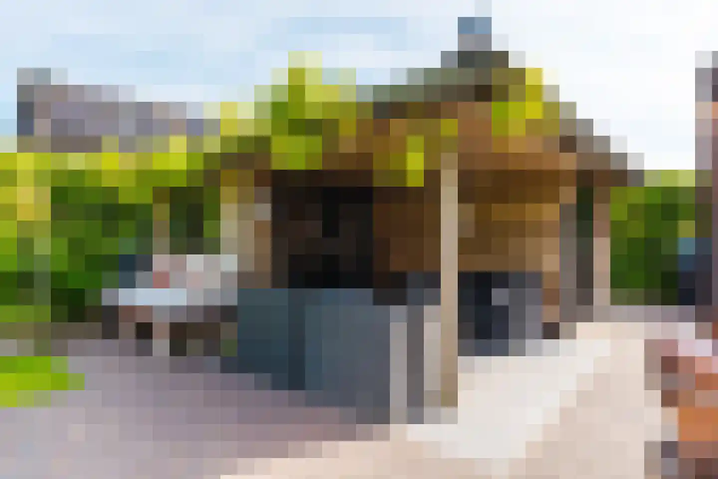 Aak 10 Gorredijk thumbnail 39