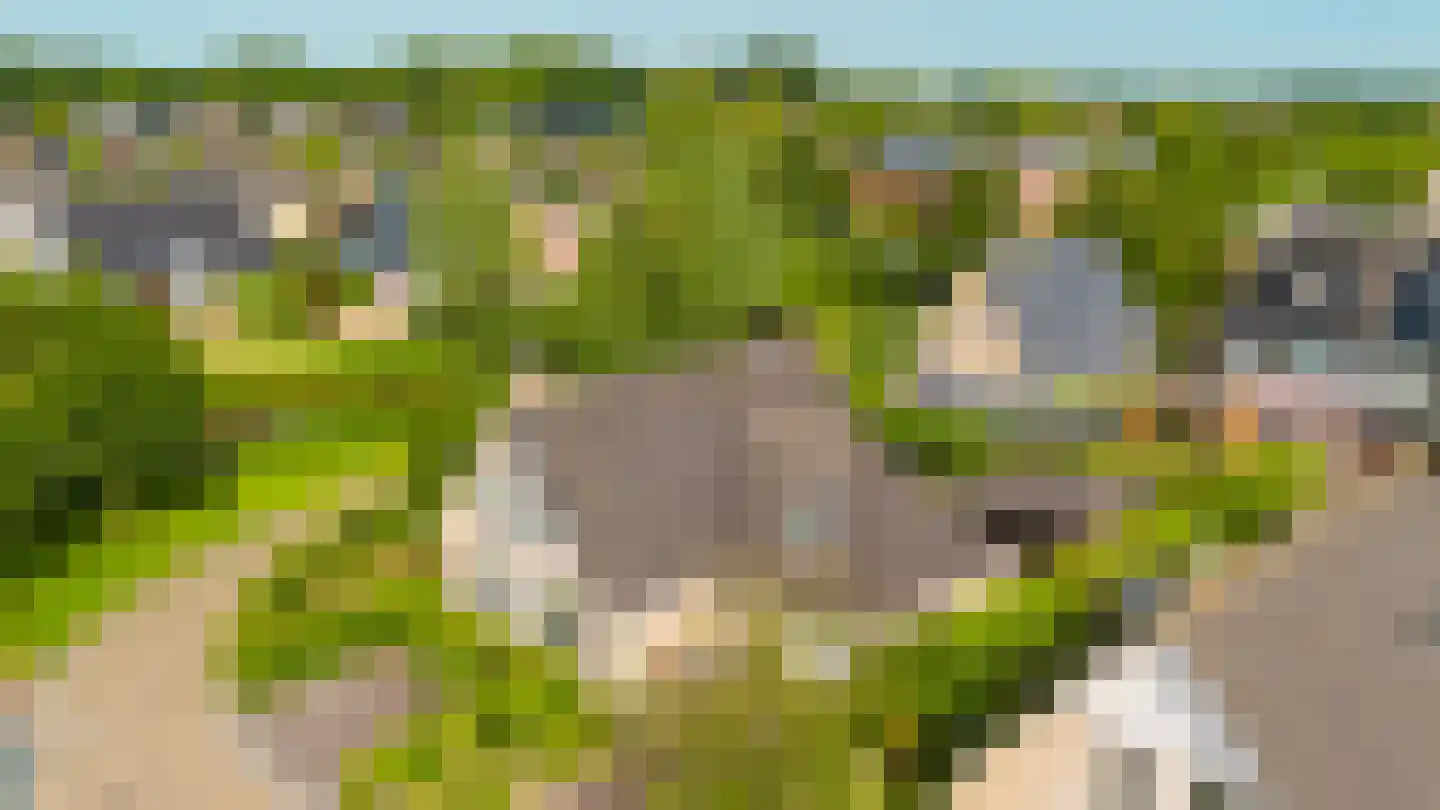 Aak 10 Gorredijk thumbnail 43