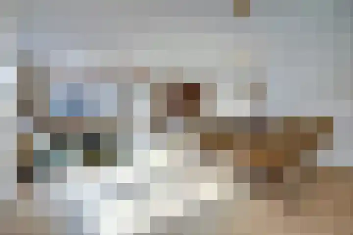 Aak 10 Spijkenisse thumbnail 10