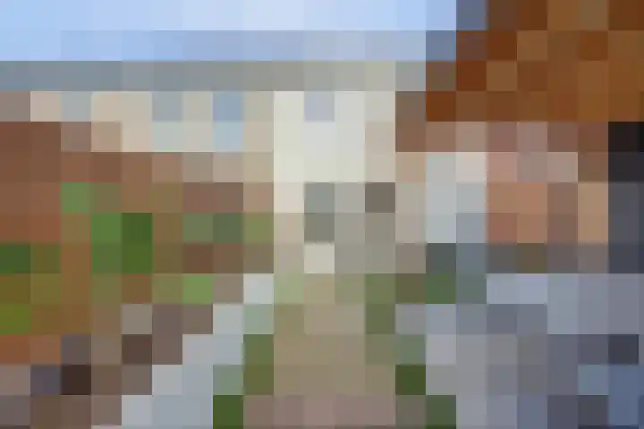 Aak 10 Spijkenisse thumbnail 15