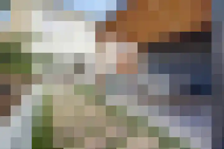 Aak 10 Spijkenisse thumbnail 17
