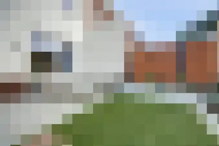 Aak 10 Spijkenisse thumbnail 18