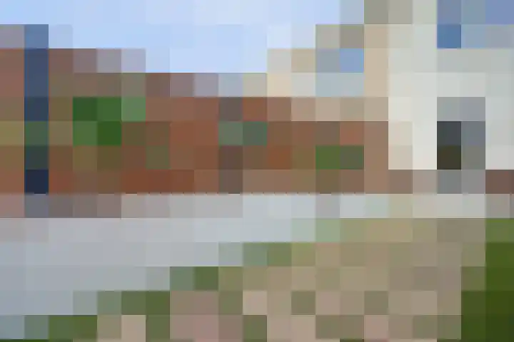 Aak 10 Spijkenisse thumbnail 19