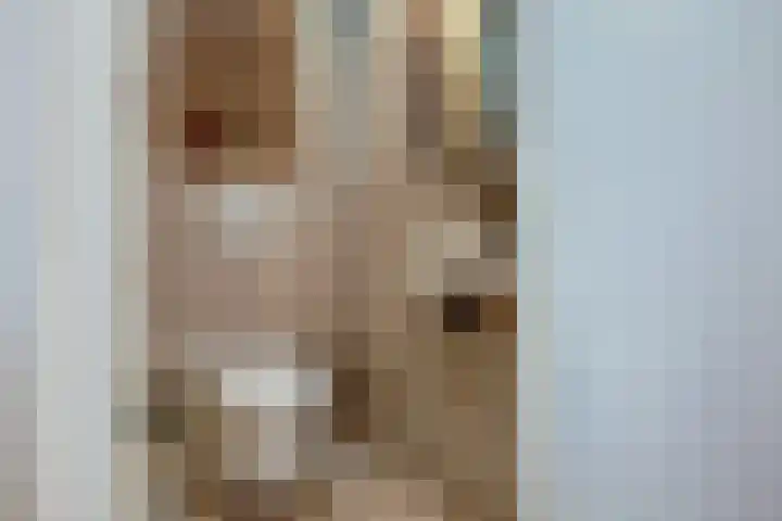 Aak 10 Spijkenisse thumbnail 27