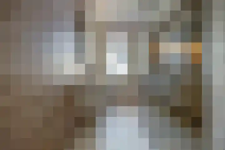 Aak 10 Spijkenisse thumbnail 30