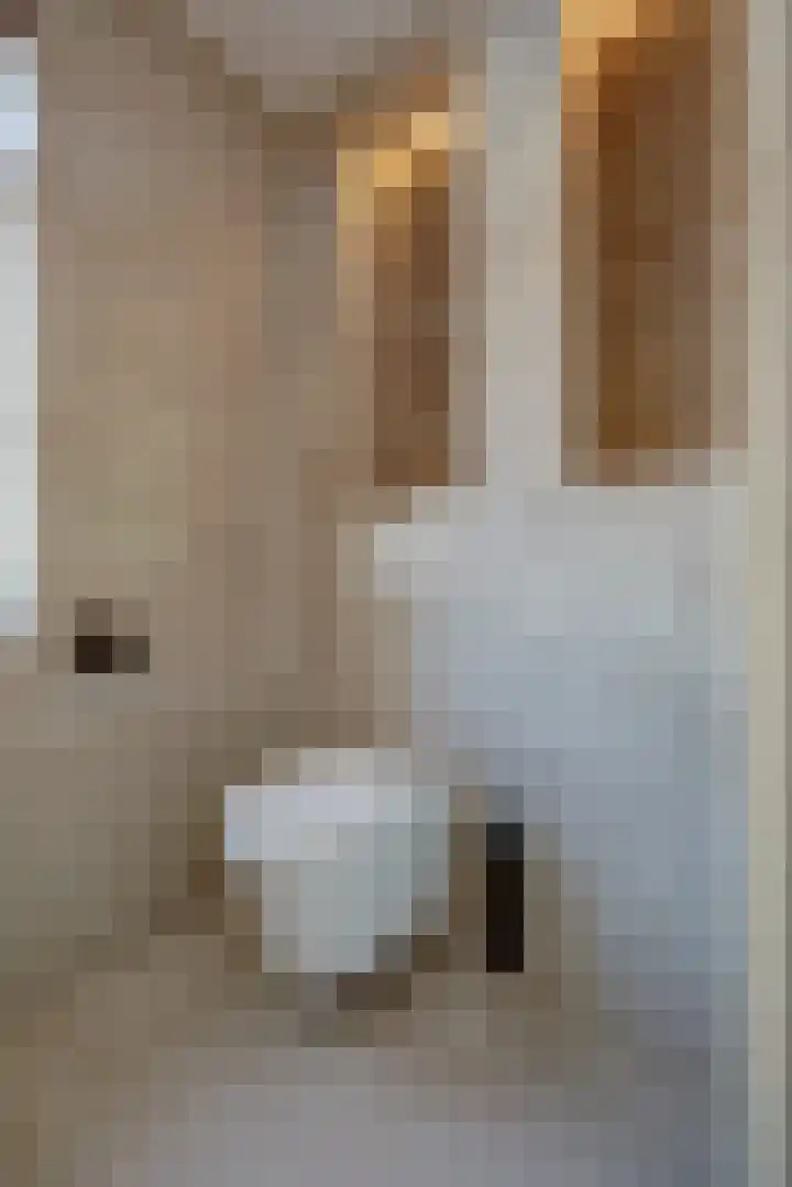 Aak 10 Spijkenisse thumbnail 35