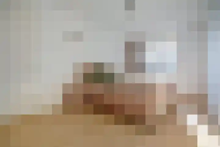 Aak 10 Spijkenisse thumbnail 37