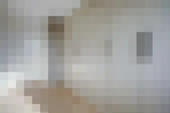 Aak 10 Spijkenisse thumbnail 40