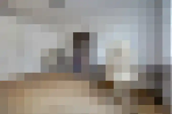 Aak 10 Spijkenisse thumbnail 43