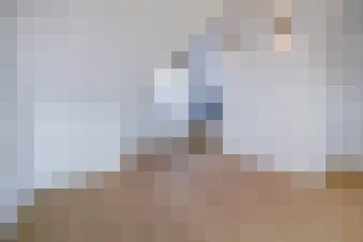 Aak 10 Spijkenisse thumbnail 45