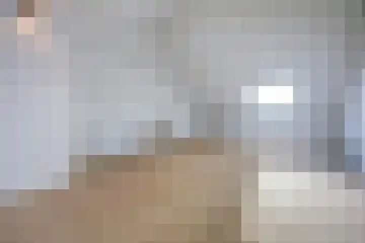 Aak 10 Spijkenisse thumbnail 47