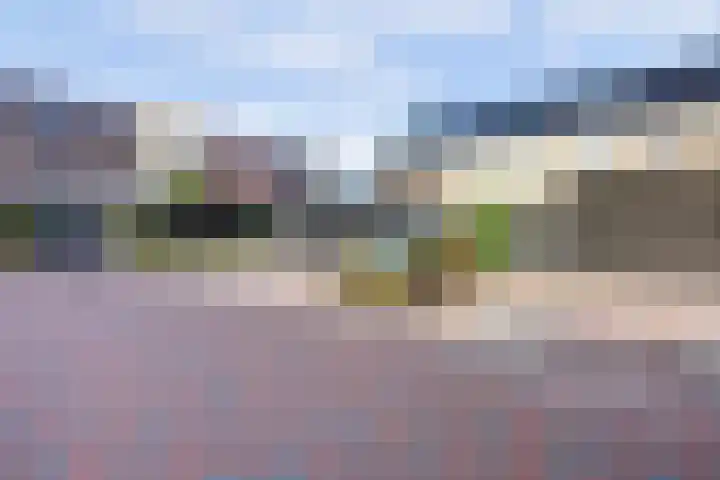 Aak 10 Spijkenisse thumbnail 48
