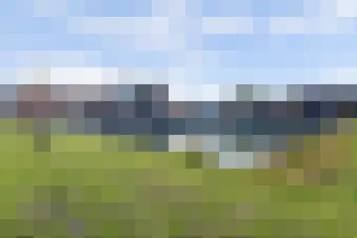 Aak 10 Spijkenisse thumbnail 54