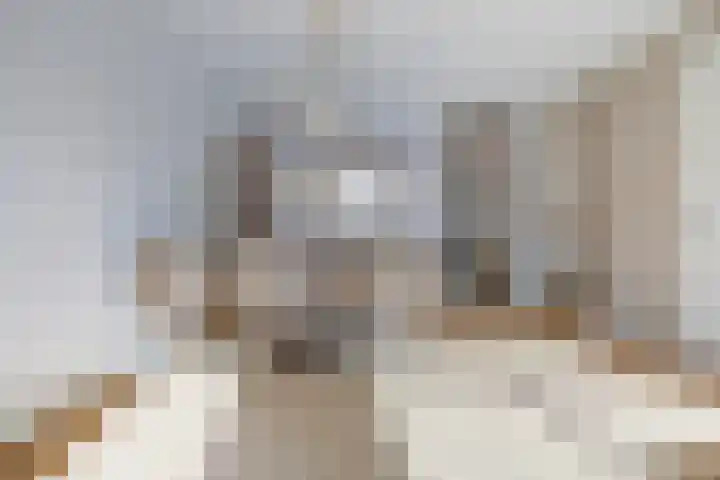 Aak 10 Spijkenisse thumbnail 8