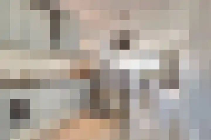 Aak 11 b Huissen thumbnail 11