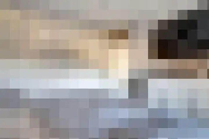 Aak 11 b Huissen thumbnail 17
