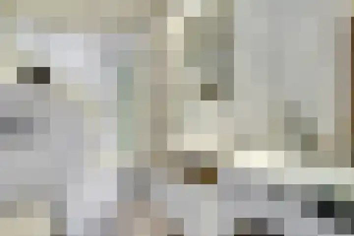 Aak 11 b Huissen thumbnail 18