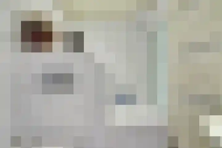 Aak 11 b Huissen thumbnail 19