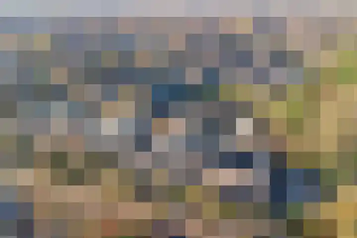 Aak 11 b Huissen thumbnail 32