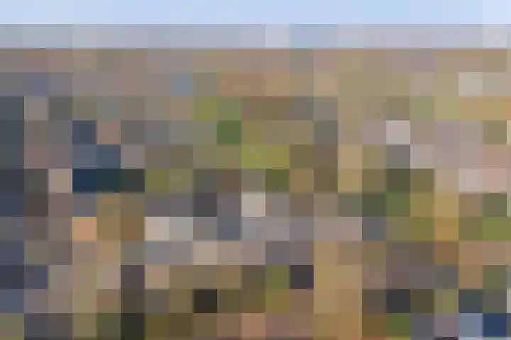 Aak 11 b Huissen thumbnail 33