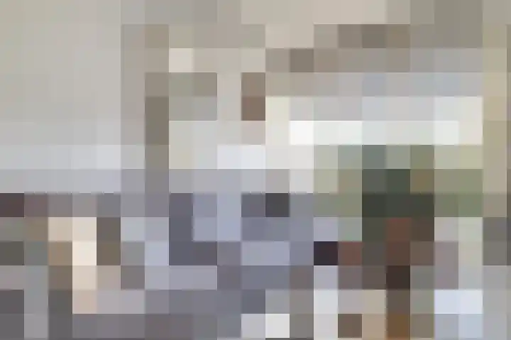 Aak 11 b Huissen thumbnail 4