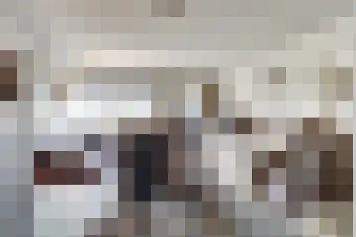 Aak 11 b Huissen thumbnail 7