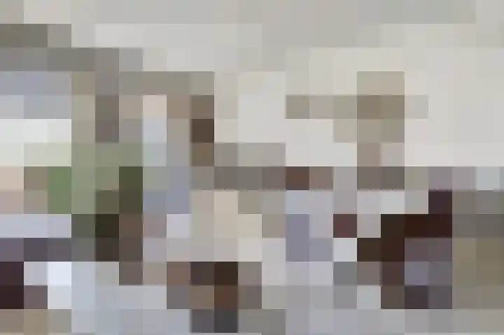 Aak 11 b Huissen thumbnail 8