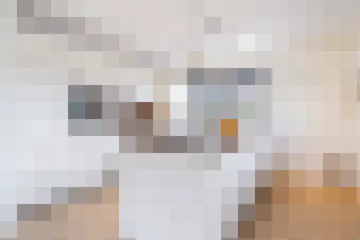 Aak 11 Kropswolde thumbnail 28