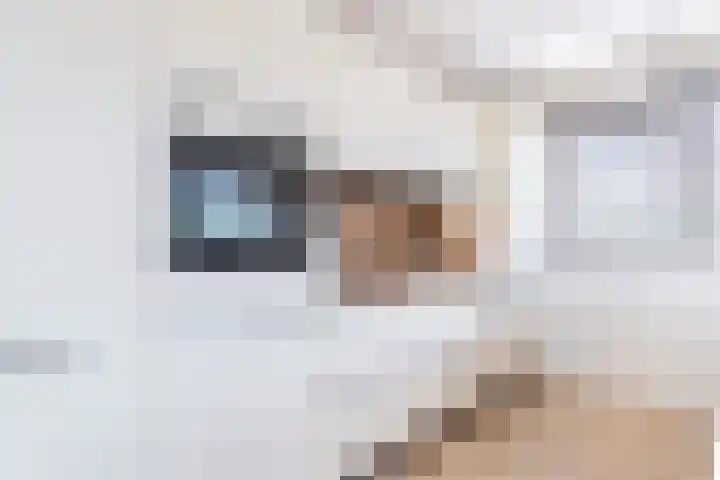 Aak 11 Kropswolde thumbnail 31