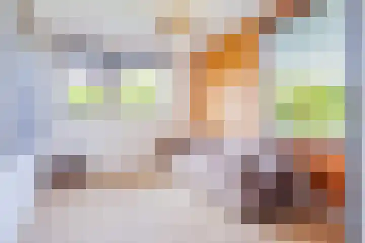 Aak 11 Kropswolde thumbnail 40