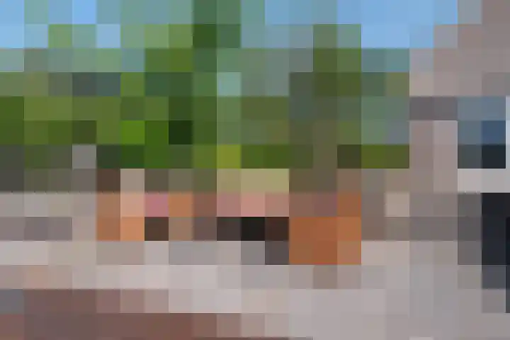 Aak 11 Kropswolde thumbnail 65