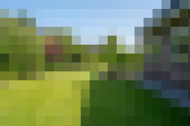 Aak 11 Kropswolde thumbnail 73