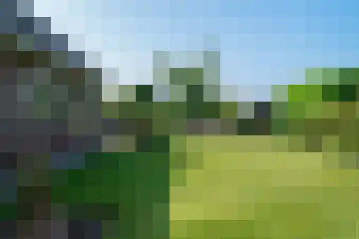 Aak 11 Kropswolde thumbnail 74