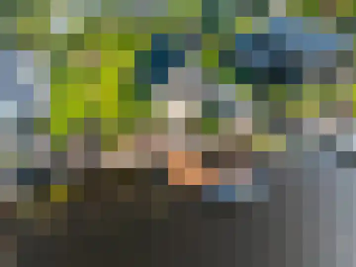 Aak 11 Kropswolde thumbnail 77