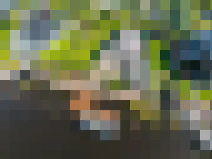 Aak 11 Kropswolde thumbnail 78