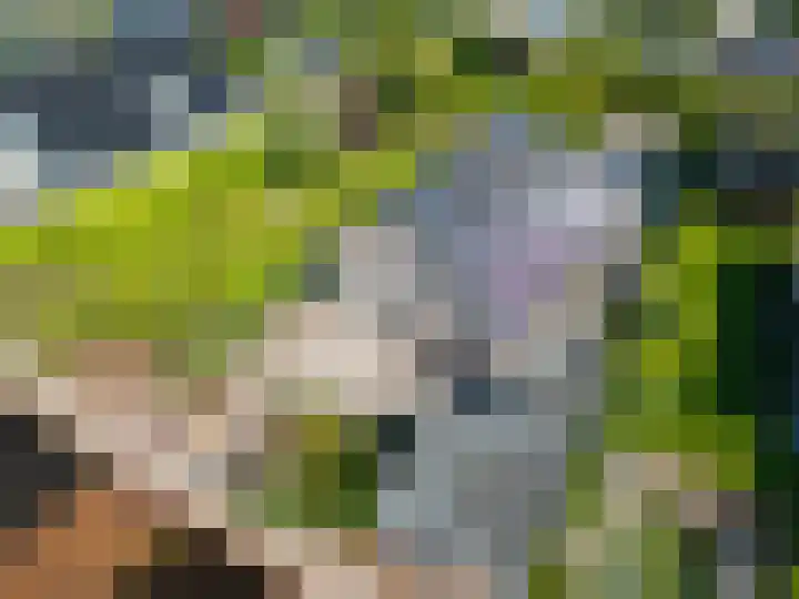Aak 11 Kropswolde thumbnail 79