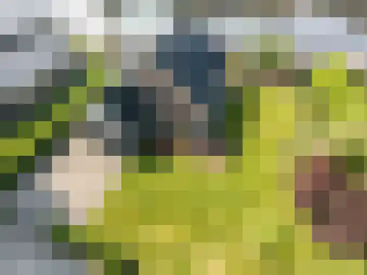 Aak 11 Kropswolde thumbnail 80